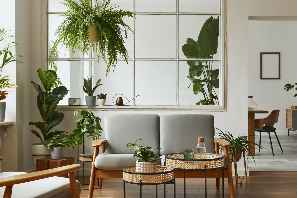 The Plant Point at Redbrick